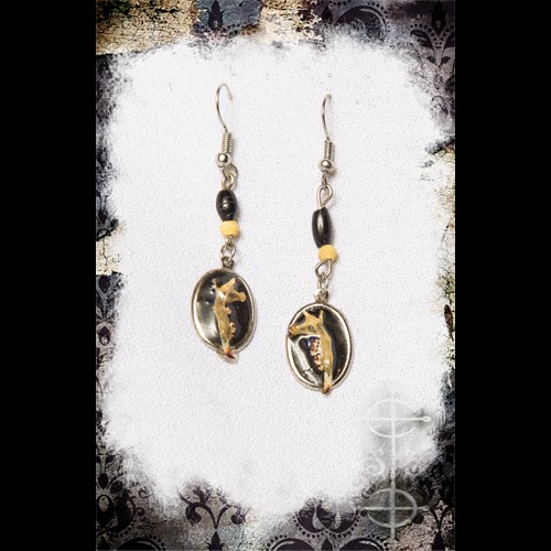 Boucles d'oreilles mandibule