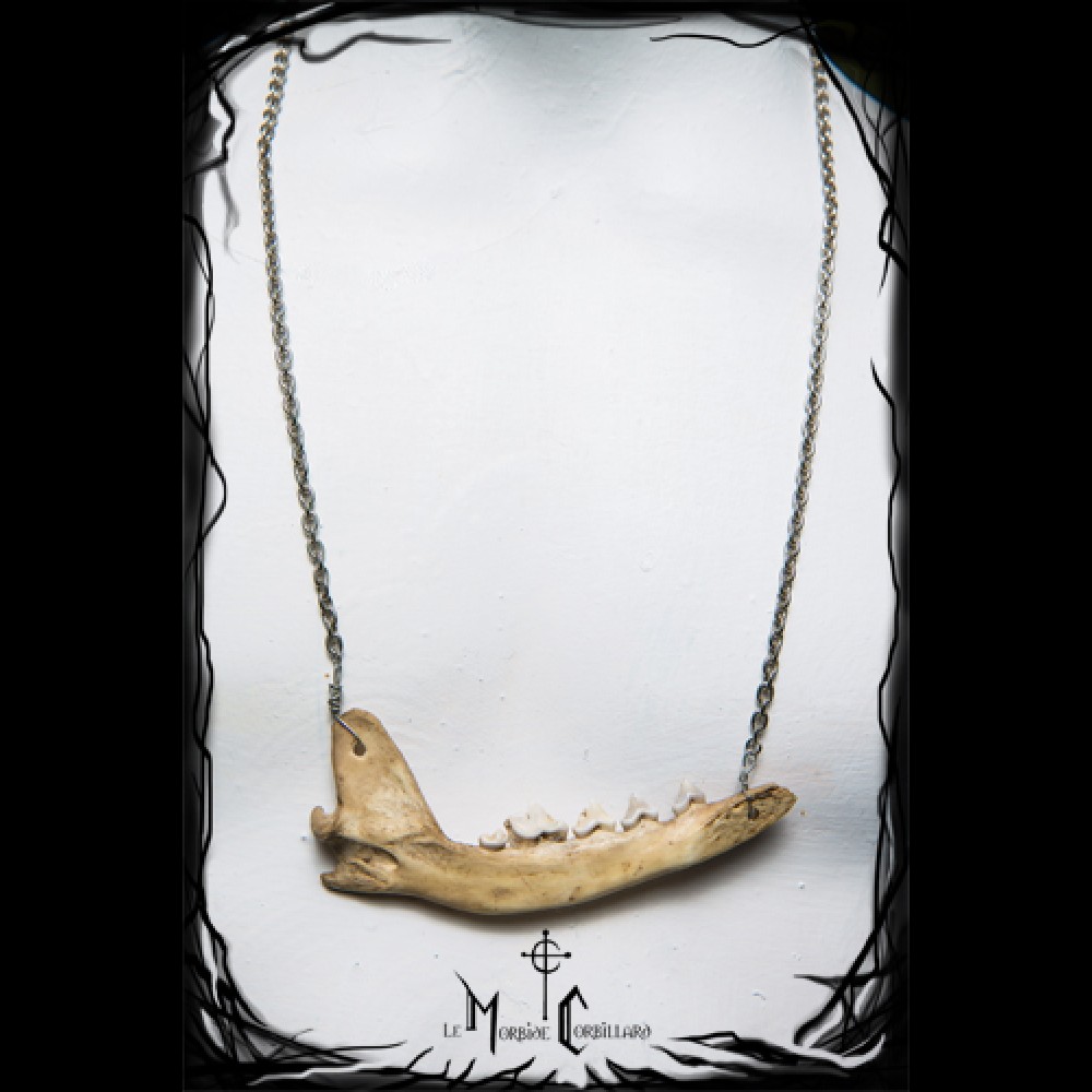 Collier mandibule