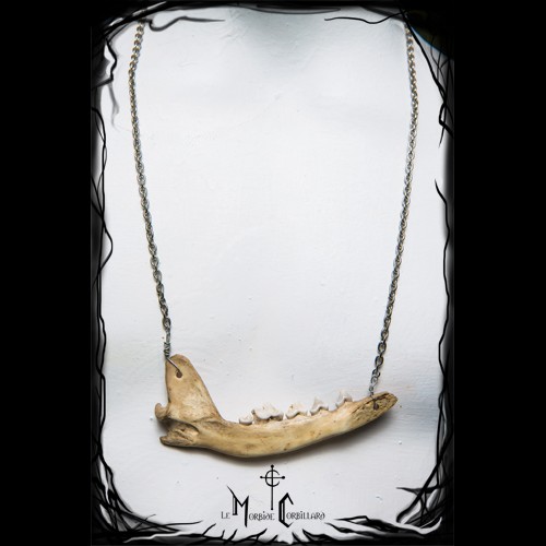 Collier mandibule